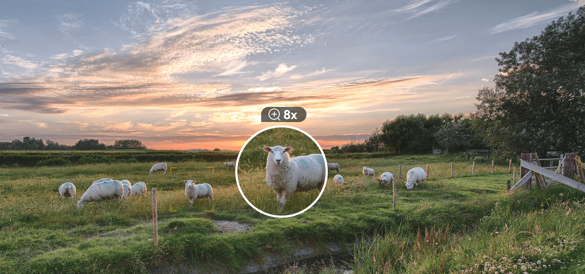 cb5bc60a-94b8-49e9-b2df-ef1fd86a8c0b